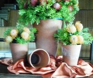 Bevorder die belange van die stad/dorp